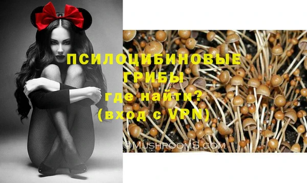 СК Инсар