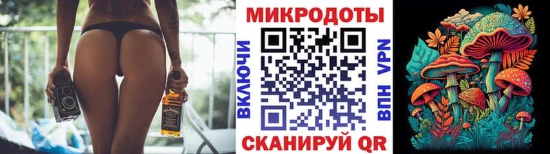 Галлюциногенные грибы прущие грибы  Сураж 